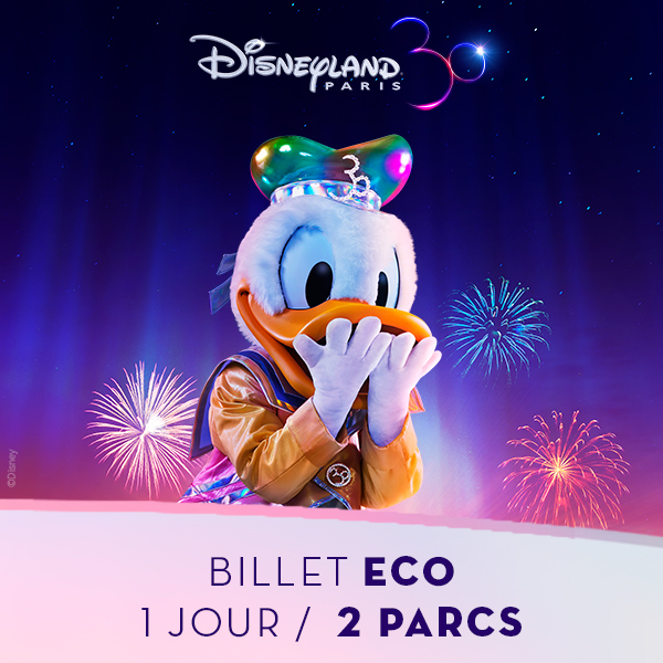 DisneylandParis_Vignette_BilletEco_2Parcs_600x600_ProxiCE