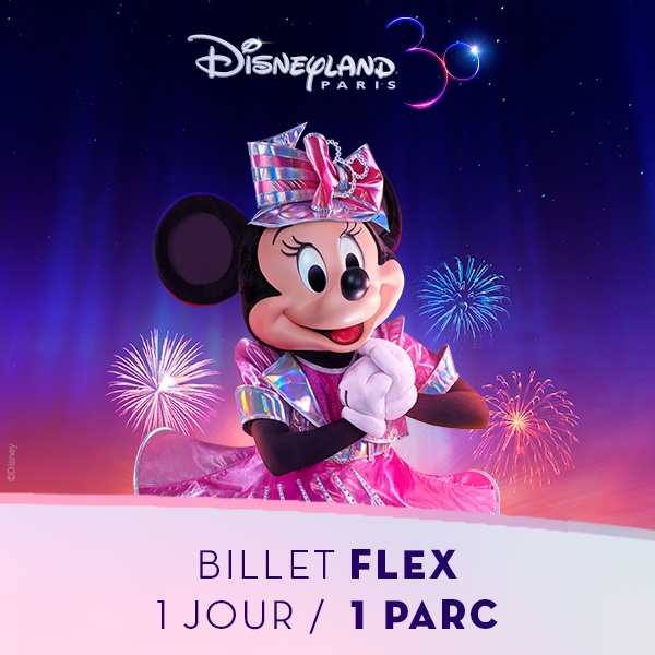 DisneylandParis_Vignette_BilletFlex_1Parc_600x600_ProxiCE