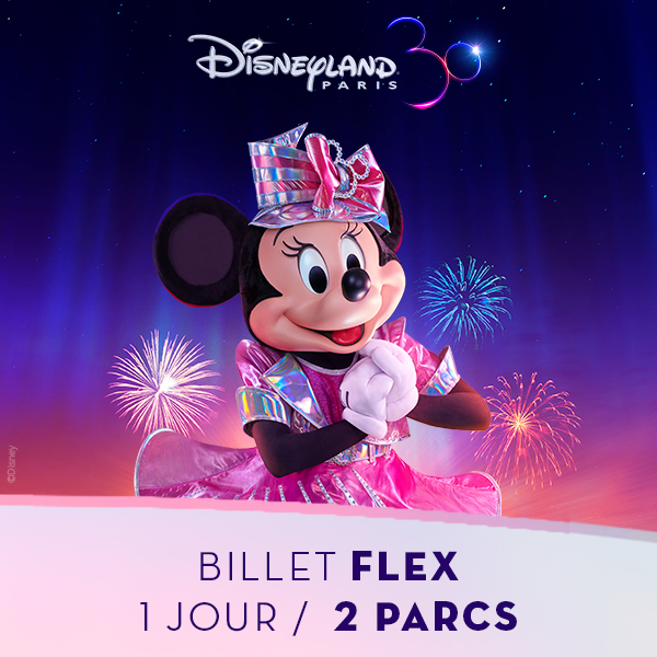 DisneylandParis_Vignette_BilletFlex_2Parcs_600x600_ProxiCE