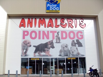 Point Dog - ALLONNE (60) Point Dog - ALLONNE (60)