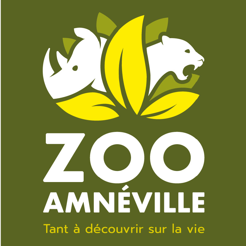 Image 600*600 Amneville