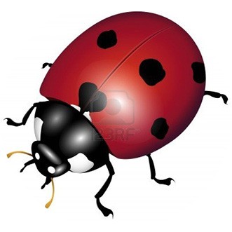 Boutique Myriade, (60) Boutique Myriade, (60)