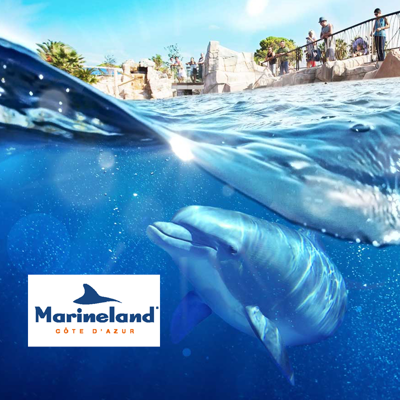 Marineland 600*600