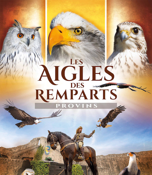 Aigle des remparts 2